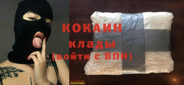 соль ск Алексин