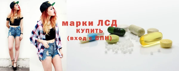 прущий лед Алзамай
