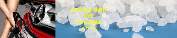 прущий лед Алзамай