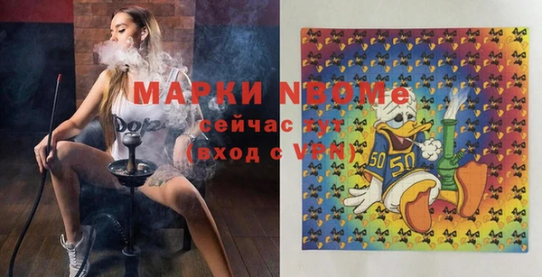 прущий лед Алзамай