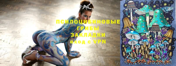 соль ск Алексин