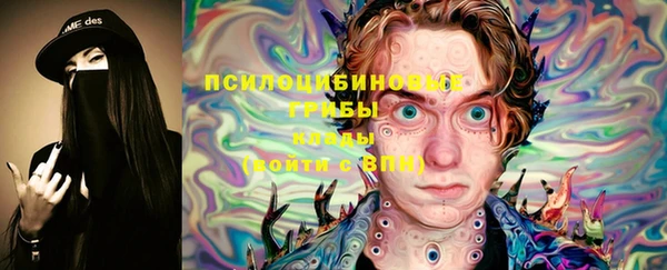соль ск Алексин