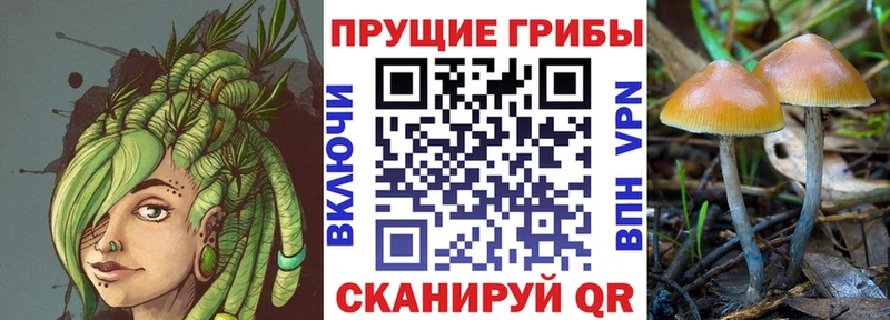 Галлюциногенные грибы прущие грибы  Калтан 